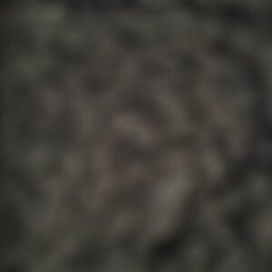 Meet your Posher, Malka